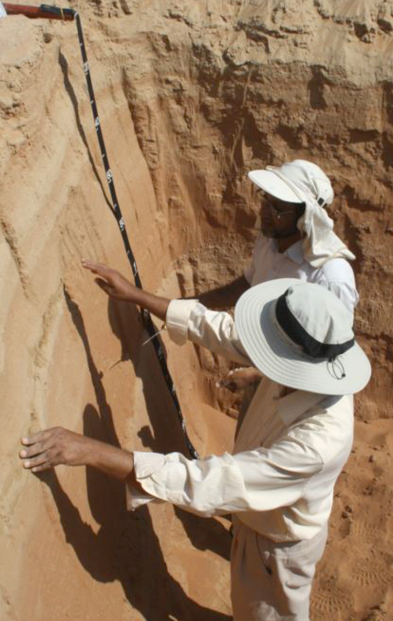 Soil scientists describing a soil profile.