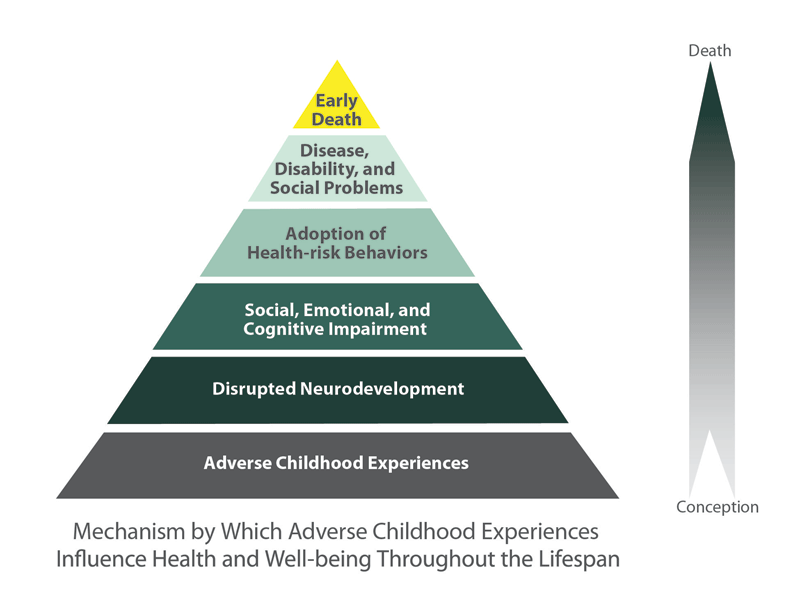 	Image shows a six-level pyramid to represent mechanisms by which adverse childhood experiences influence health and well-being throughout the lifespan. An arrow pointing upward is at the left of the pyramid. At bottom of the arrow is the word “conception;” at top is “death.” From the bottom up, the base of pyramid base of pyramid reads “Adverse Childhood Experiences.” Next level up reads “Disrupted Neurodevelopment.” Third level at middle of pyramid reads “Social, Emotional, and Cognitive Impairment.” Level four of the pyramid is Adoption of Health-risk Behaviors. Level five is Disease, Disability, and Social Problems. Level six at the top of the pyramid reads “Early Death.”