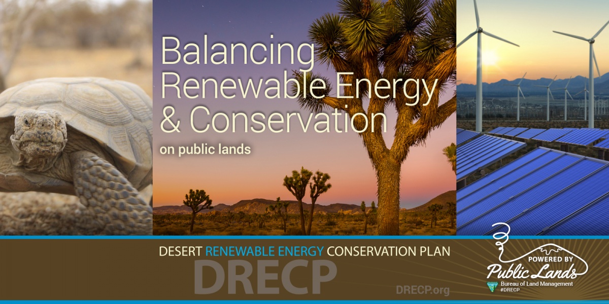 Images of the California desert for the Desert Renewable Energy Plan.