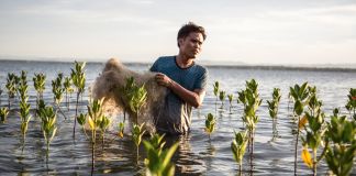 Man carrying net through newly grown mangrove forest (© Interface)