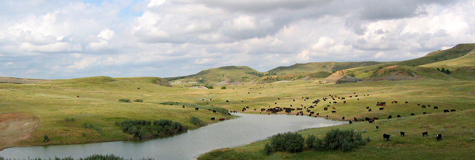 North Dakota wetland creation project. Credit: USFWS.