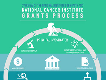 Overview of the National Institutes of Health and NCI Grants Process Infographic
