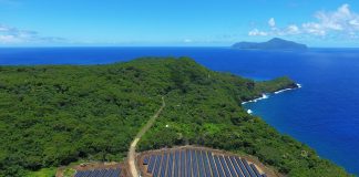 Vue aérienne de panneaux solaires entourés d’une forêt sur une île (SolarCity)