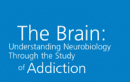 Equips teachers and students in grades 9 through 12 with interactive curriculum on the neurobiology of the brain as a result of drug abuse and addiction. 