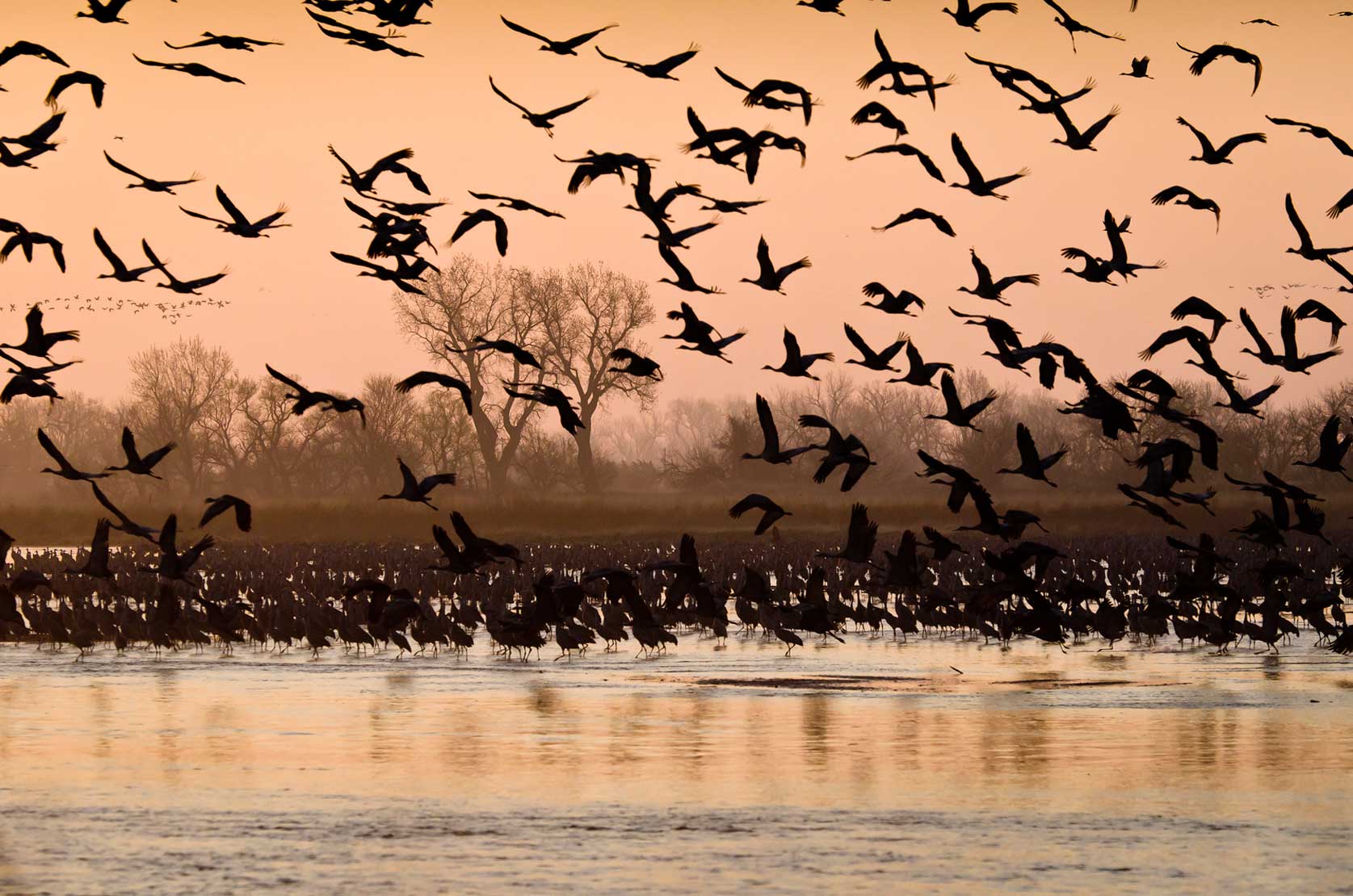 March Morning on the Platte River