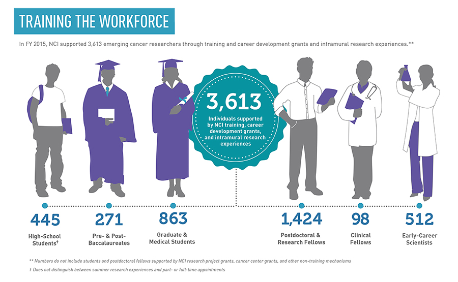 Training the Workforce Infographic