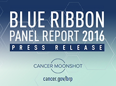 Blue Ribbon Panel Report 2016 Press Release