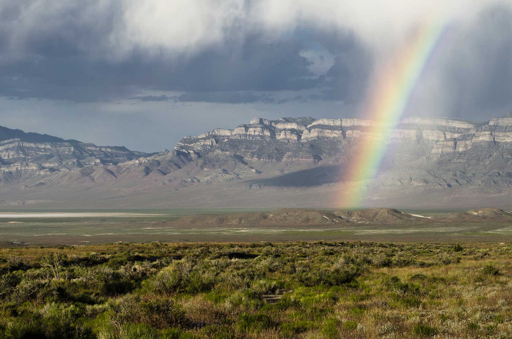 After a Spring Storm in the Great Basin