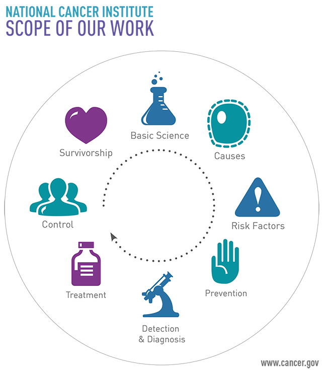 Scope of Our Work Module