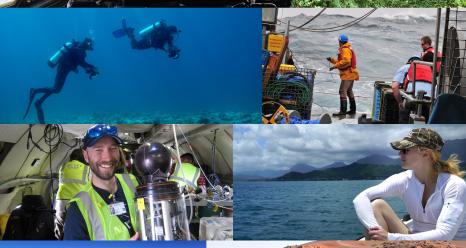 Three new NASA field research campaigns get underway around the world this year and nine continue fieldwork to give scientists a deeper understanding of how our home planet works. Credits: NASA