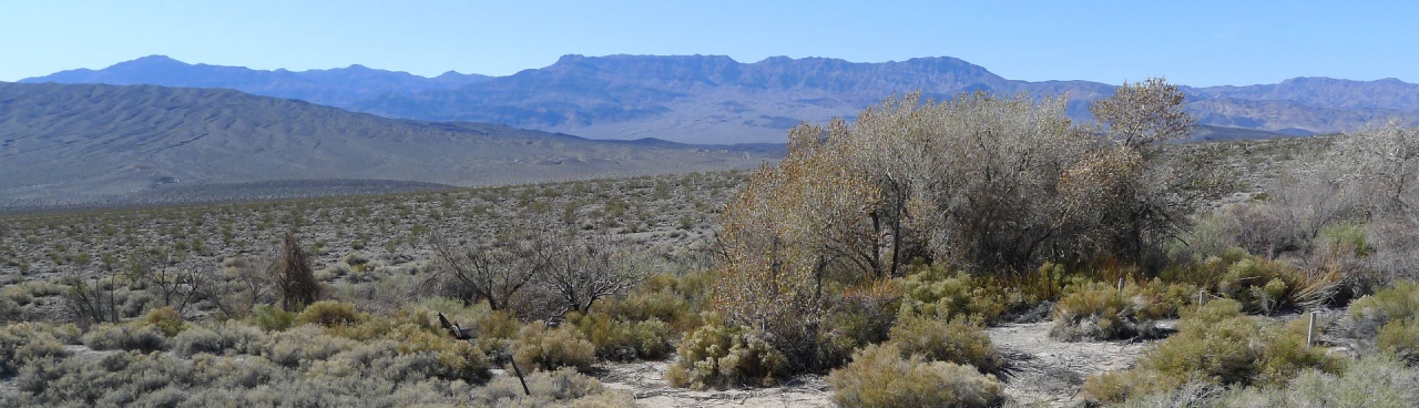 Vine Creek Ranch at Death Valley National Park