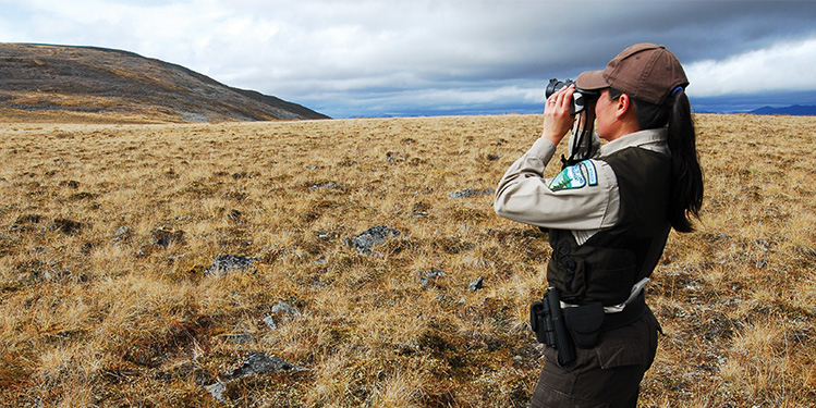 BLM employee using binoculars to view a distant mountain range across a sagebrush range
