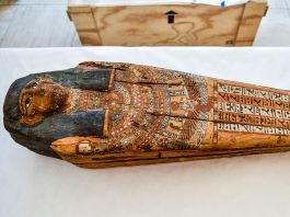 Egyptian burial sarcophagus (Immigration and Customs Enforcement)