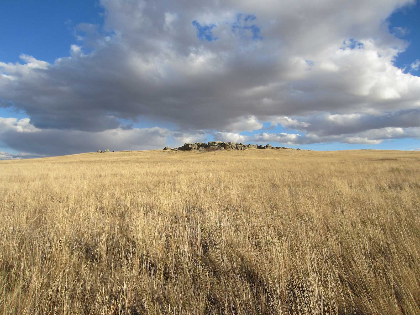 Hunting Upland Birds at Kingsbury Lake Waterfowl Production Area