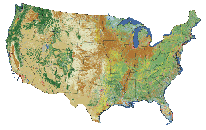 NLCD06 CONUS