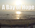 Read news item: Bay of Hope