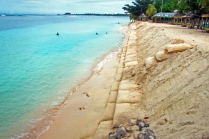 Resistant to punctures and ultraviolet rays, these sturdy, multiple-ply sand bags discreetly work double time as they protect the coastline while preserving the shore’s natural look. / C-CAP