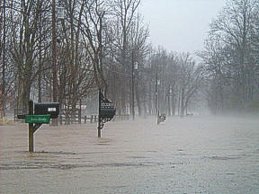 Turn Around Don't Drown