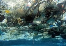 زباله شناور در اقیانوس (عکس از آسوشیتدپرس)