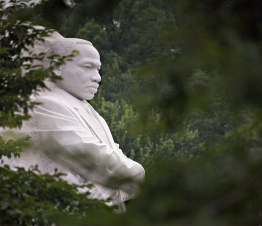 Martin Luther King, Jr. Memorial viewed through trees (© AP Images)