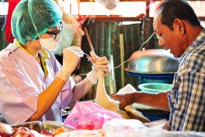 A technician swabs the throat of a duck at Bangkok’s Klongtoey Market during an avian influenza survey. / Richard Nyberg, USAID