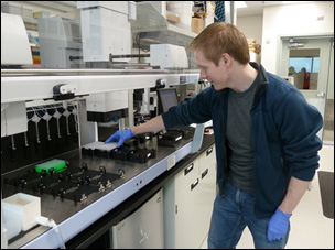 Geneticist loading DNA plate for genotyping