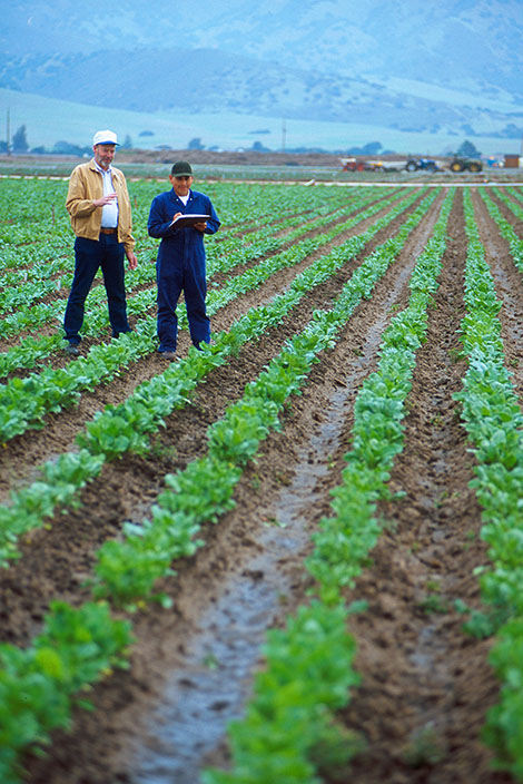 Scientists monitoring agriculture