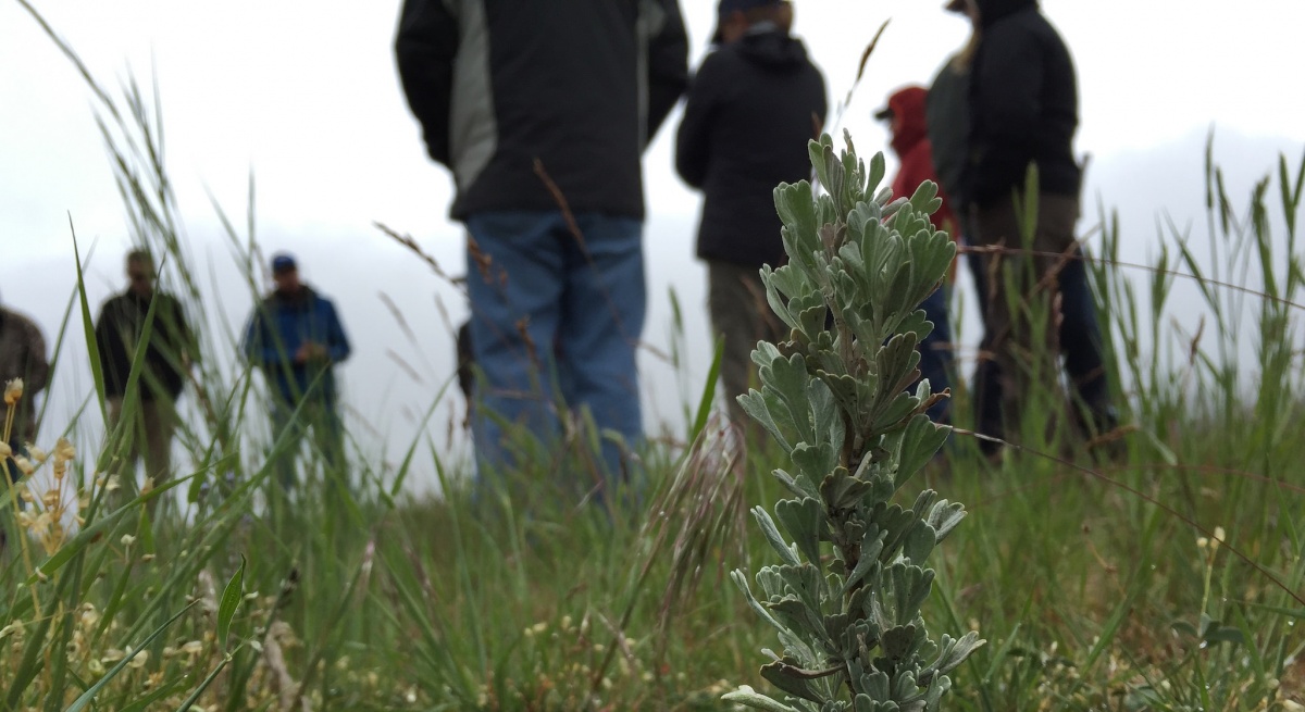 Partners meet for discussion about range. BLM photo