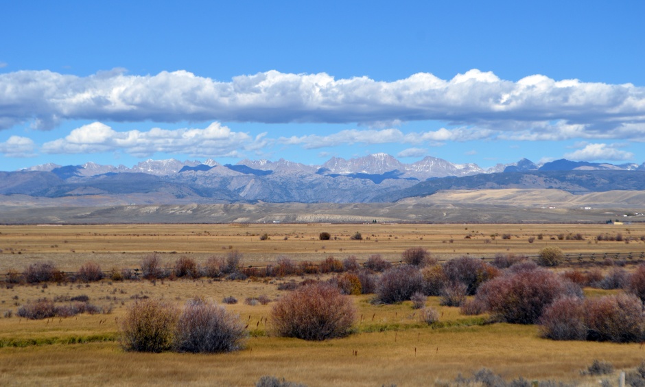 Mountains frame the sagebrush sea, habitat of the greater sage-grouse