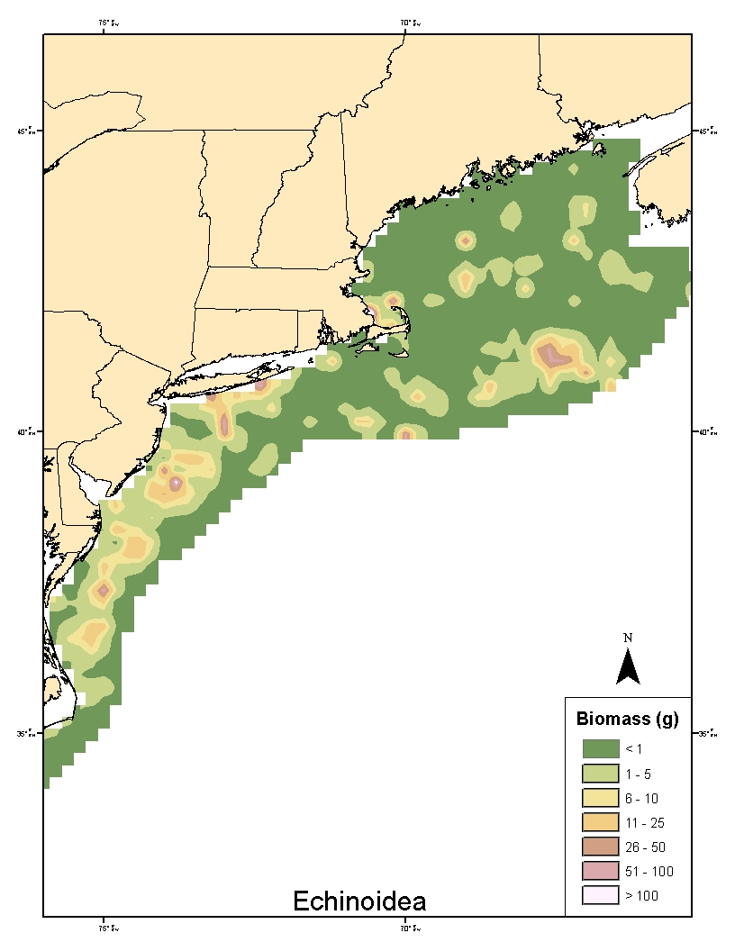 benthic animals distribution map