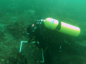 Photo of a NOAA researcher monitoring red king crab densities while diving