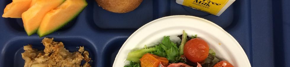 School-Lunch-Sample2-lg-01.jpg