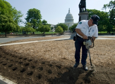 Approximately 50,000 – 70,000 annual flowers and 70,000 tulips and spring bulbs are planted each year by the AOC Grounds Crew.