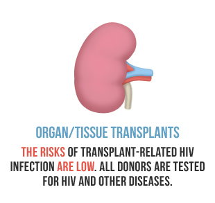 Organ-Tissue Transplants. The Risks of transplant-related hiv infection are low. All donors are tested for hiv and other diseases.