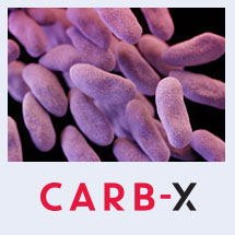 CARB-X