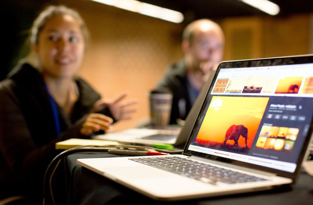 Gros plan sur un ordinateur portable posé sur une table, avec des photos d’éléphants sur l’écran ; deux personnes en arrière-plan (Woodland Park Zoo)