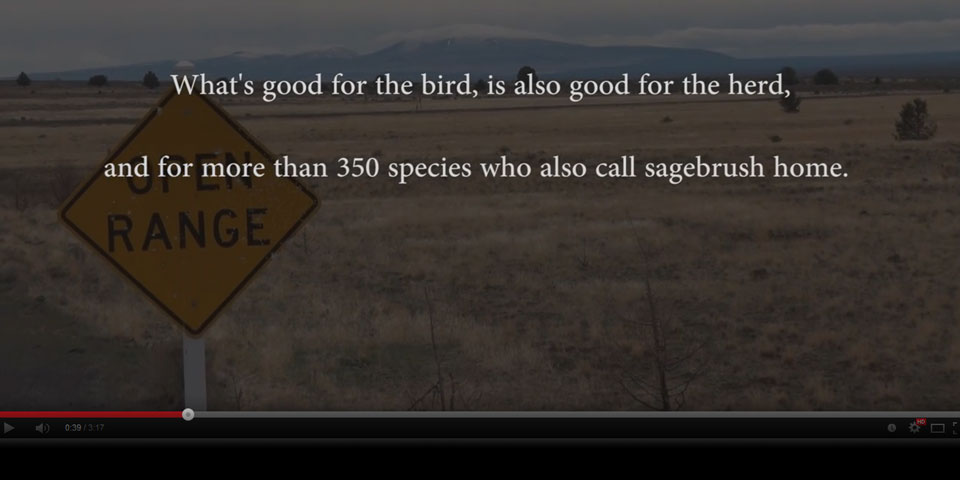 Credit:  USFWS.