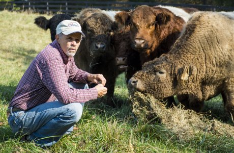 Farmer with cattle