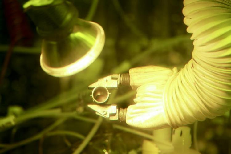 By producing 50 grams of plutonium-238, Oak Ridge National Laboratory researchers have demonstrated the nation’s ability to provide a valuable energy source for deep space missions.