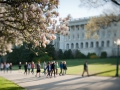 A group of visitors walking in in front of the Capitol Building