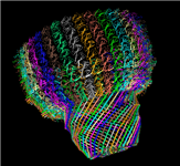 The MMDB record for the rat liver vault, in which the data from the three PDB split files have been merged together to provide a 3D view of the complete structure, shown here in MMDB ID 99596.