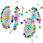 Interactions schematic for the ribosome structure by Nobel Laureate Ramakrishnan, showing the interactions among the component molecules, and indicating that two copies of the ribosome are present in the structure file.