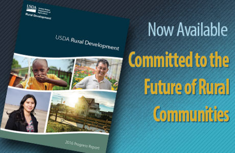 Cover Image of 2016 RD Progress Report