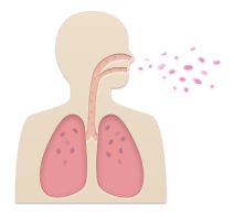 diagram of a person sneezing