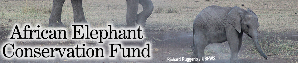 african elephant conservation fund banner. Credit: Richard Ruggerio / USFWS