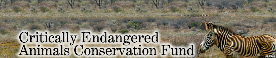 Banner for Critically Endangered Animals Conservation Fund