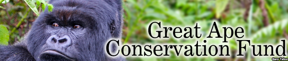 Great Ape Conseration Fund banner. Credit: Gary Tabor