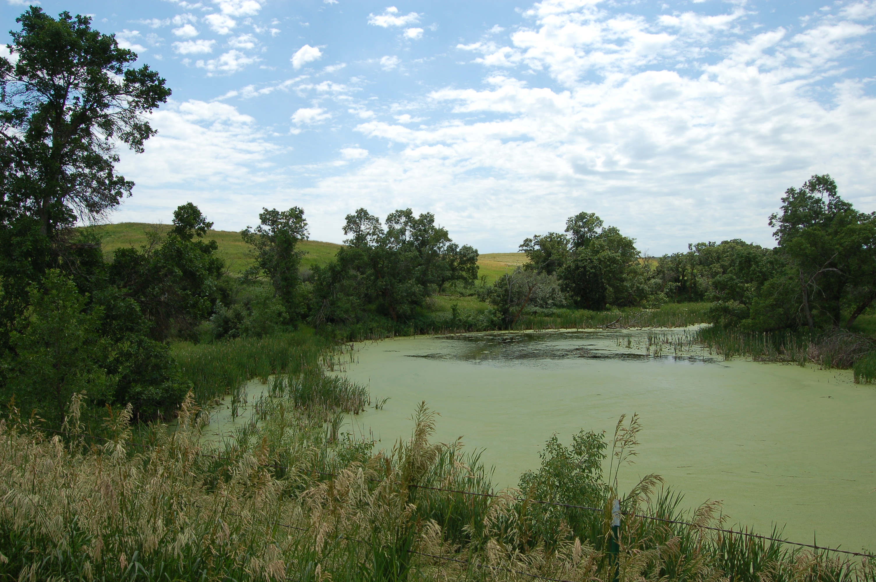 Schnell Recreation Area