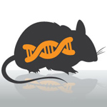 Image of mouse and DNA