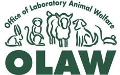 Animal Welfare